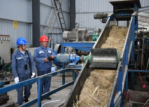 贞丰供电局 优质服务助力蔗糖产业发展
